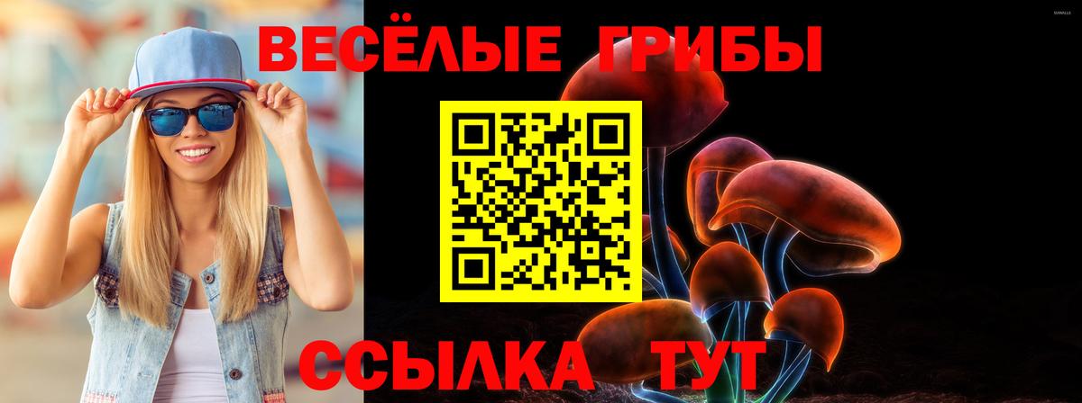 Галлюциногенные грибы мицелий Сафоново